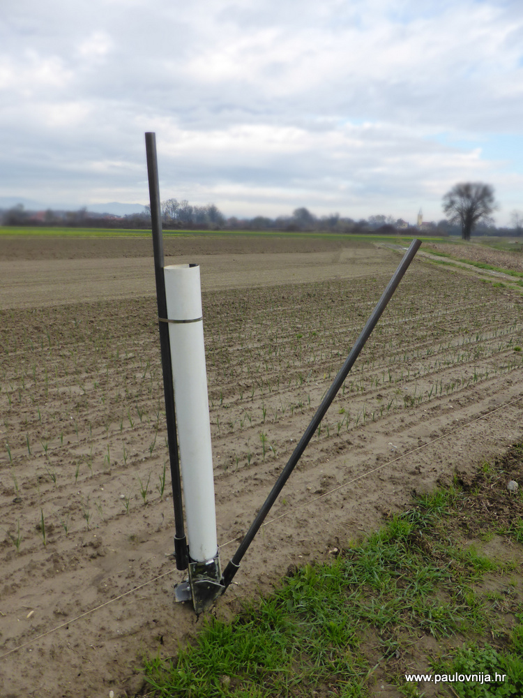 Sadilica za paulovnije